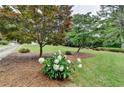 Green front yard with mature trees and a flower bed at 1818 Mcconnell Rd, Grayson, GA 30017