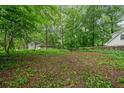 Overgrown backyard space with trees and surrounding greenery, offering privacy at 1478 Oxford Ne Rd, Atlanta, GA 30307