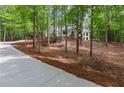 A long driveway leads up to a beautiful home surrounded by lush trees and landscaping at 12995 Bucksport Dr, Roswell, GA 30075