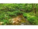 Serene creek flowing through lush greenery, offering a tranquil and natural setting with lots of trees and shrubbery at 265 Shane Dr, Canton, GA 30115