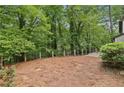 Large backyard surrounded by trees, with a fence, offering a private outdoor space at 6100 Blackwater Trl, Atlanta, GA 30328