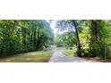 Scenic view of the property from the street, surrounded by mature trees at 4059 Canby Ln, Decatur, GA 30035
