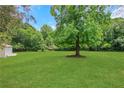 Lush backyard with a mature tree offering plenty of shade and space for outdoor activities at 3332 Oak Grove Rd, Loganville, GA 30052