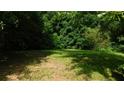 Lush backyard featuring a thick canopy of trees providing shade and privacy for outdoor enjoyment at 330 Christian Woods Dr, Conyers, GA 30013