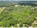 A bird's eye view of a densely wooded area showing the vast greenery of the property at 1975 Mack Rd, Douglasville, GA 30135