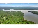 Aerial view of the lush, green property showcasing the home's proximity to the lake at 627 Apache Trl, Woodstock, GA 30189