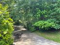 Image of long driveway lined with mature landscaping and shrubbery at 4701 Cleveland Rd, Lithonia, GA 30038
