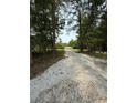 Long gravel driveway leading to a cozy home nestled among mature trees at 6900 Rockland Rd, Lithonia, GA 30038
