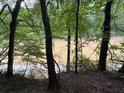 Backyard wooded view, a natural oasis offering peace and privacy at 6185 Masters Club Dr, Suwanee, GA 30024