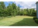 Large, private backyard featuring a lush lawn and a tree-lined perimeter, perfect for outdoor activities at 7430 Ramsgate Ct, Cumming, GA 30040