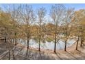 Scenic view of a tranquil lake framed by mature trees along the road at 1800 Clairmont #428 Lk # A428, Decatur, GA 30033