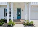 Inviting front porch with a blue door, decorative plants, classic columns, and elegant outdoor lighting at 247 Widener Way, Peachtree City, GA 30269