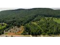 Scenic aerial view of wooded acreage, showcasing lush greenery and natural beauty at 5250 Memento Trace, Cumming, GA 30040