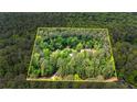 An aerial view displays this secluded home nestled among lush trees, surrounded by a defined property line at 130 Brooklet Way, Brooks, GA 30205
