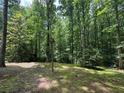 Expansive backyard area showcasing mature trees and natural landscaping, ideal for outdoor activities and relaxation at 4782 Donnegal Se Ct, Mableton, GA 30126
