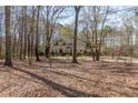 Home surrounded by mature trees at 115 Flagstop Run, Fayetteville, GA 30215