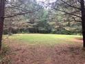 Picturesque landscape with a clearing surrounded by tall pine trees at 408 Hasty Trl, Canton, GA 30115