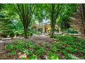 Relaxing backyard featuring mature trees, lush greenery, and a peaceful hammock at 1181 Fairview Ne Rd, Atlanta, GA 30306