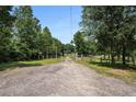 Gravel driveway leads to home with a grassy yard, with trees lining the driveway at 677 Panola Rd, Ellenwood, GA 30294
