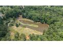 Aerial shot of a calm pond surrounded by beautiful green trees and a small island at 677 Panola Rd, Ellenwood, GA 30294