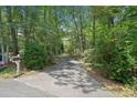 Long driveway leading to the property, lined with lush greenery providing added privacy at 2140 Old Orchard Ln, Canton, GA 30114