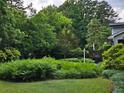 Lush backyard featuring mature trees, green lawn, and a deck with a grill, creating a private outdoor oasis at 2628 Tanglewood Rd, Decatur, GA 30033