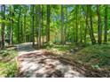 A charming two-story home is nestled amongst mature trees offering privacy and a connection with nature at 70 Juliana Dr, Ellenwood, GA 30294