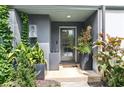 Home entrance with potted plants, modern lighting, and a glass paneled door for natural light at , Atlanta, GA 30315
