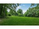 A lush green lawn offers a serene and expansive backyard setting at 4459 Flat Shoals Pkwy, Decatur, GA 30034
