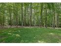 Expansive backyard featuring mature trees and lush green grass at 6896 Heardsville Rd, Cumming, GA 30028