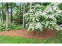 The beautiful tree and greenery add natural beauty to the property at 4810 Lismoor Trce, Mableton, GA 30126