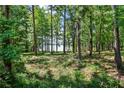 The backyard boasts mature trees and views of the lake, providing a private and scenic backdrop at 1213 Grande Vw, Loganville, GA 30052