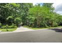 Long driveway leading to a house surrounded by lush greenery, showcasing a private and secluded setting at 1170 Spring Oak Way, Cumming, GA 30041