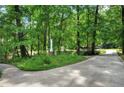 Long driveway leading to the home with mature trees and landscaping at 1170 Spring Oak Way, Cumming, GA 30041