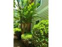 Well-maintained exterior view showcasing mature trees and trimmed bushes at 1428 Orchard Park Dr, Stone Mountain, GA 30083