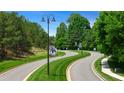 Scenic view of a winding street lined with lush trees and manicured lawns at 753 Brooke View Drive, Canton, GA 30115