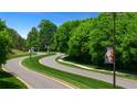 Scenic community entrance with winding roads, lush landscaping, and decorative street lighting at 778 Brooke View Drive, Canton, GA 30115