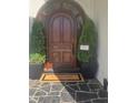 Elegant arched front door with decorative plants and a welcoming entrance mat at 1169 Hodges Cir, Mansfield, GA 30055