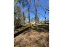 Large backyard featuring mature trees and potential for outdoor activities at 2103 River Rd, Ellenwood, GA 30294