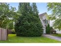 Residential house featuring a lush, mature tree creating a natural privacy screen in a well-maintained front yard at 5035 Foxberry Ln, Roswell, GA 30075