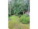 Backyard featuring a partially overgrown lawn with mature trees and a small storage shed at 8130 Estee Dr, Cumming, GA 30028