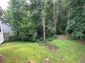 Overgrown backyard with green lawn and mature trees, partially fenced at 8130 Estee Dr, Cumming, GA 30028