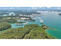 Picturesque aerial shot capturing the serene beauty of a lakeside marina and lush green shoreline at 3131 Lee Cir, Buford, GA 30518