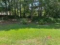 Picturesque backyard with lush green grass and a peaceful, natural setting at 433 Rhett Dr, Loganville, GA 30052