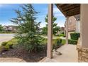 Well-manicured front yard with lush green grass, mature trees, and manicured landscaping at 4814 Little Cove Ct, Auburn, GA 30011