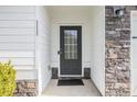 Close-up of the elegant front door with stone and white trim, creating a stylish entry at 111 Point View Dr, Canton, GA 30114