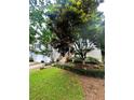 Inviting two-story home featuring a well-maintained lawn, mature trees, and welcoming front entrance at 227 Bennett Farms Trl, Acworth, GA 30102