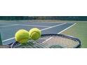 Community tennis court with tennis balls and rackets showcasing an active lifestyle in the neighborhood at 1900 Van Allen Ct, Dacula, GA 30019