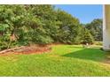 Lush green backyard with mature trees and lawn at 3419 Allie Dr, Snellville, GA 30039
