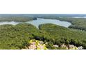 Breathtaking aerial view of the lakefront community and lush surrounding forest at 619 Lovinggood Trl, Woodstock, GA 30189
